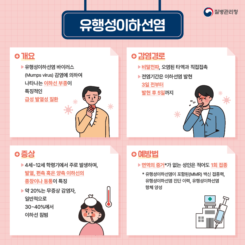 유행성이하선염 정보정리 카드뉴스